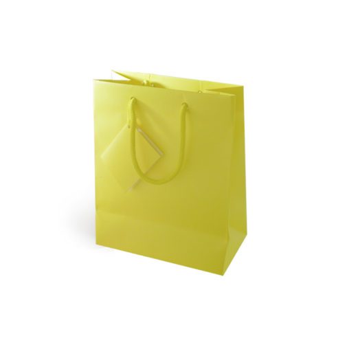 Saco de Papel Lux Amarelo