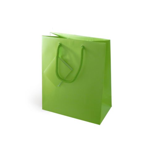 Saco de Papel Lux Verde