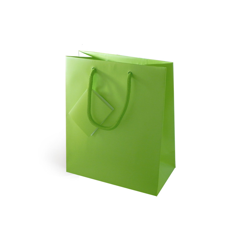 Saco de Papel Lux Verde