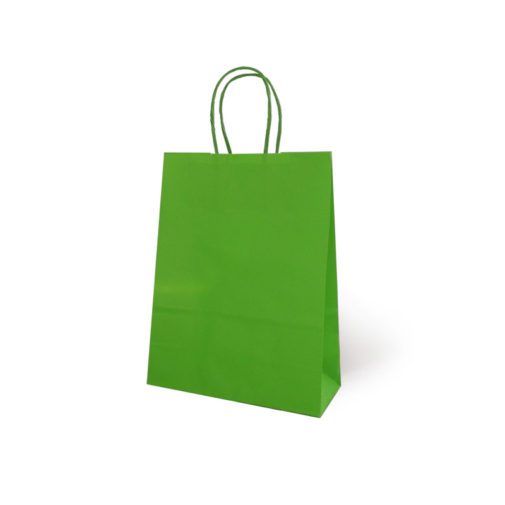Saco de Papel Verde
