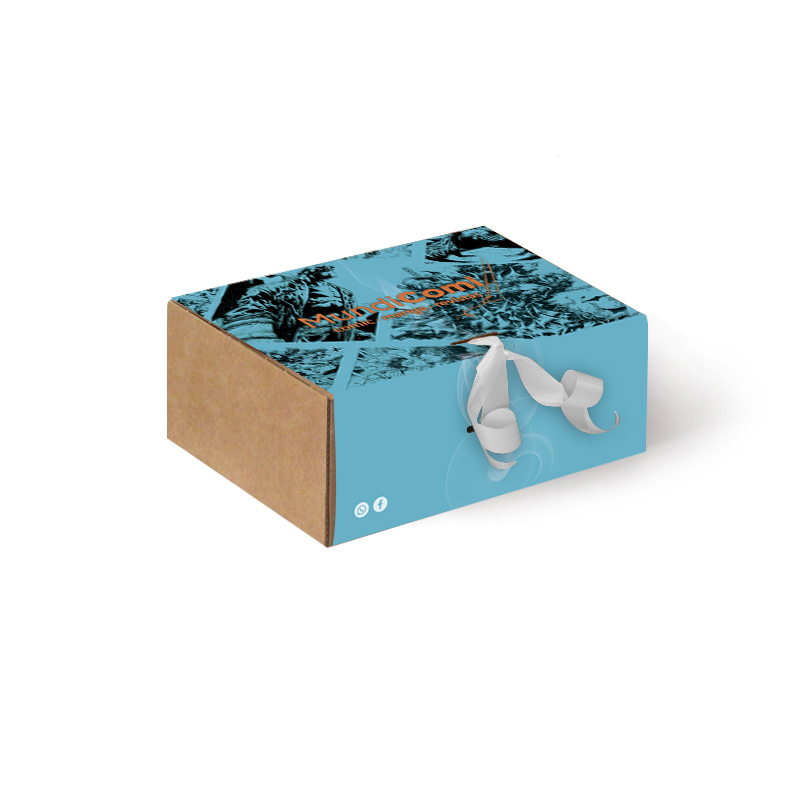Caixa com Faixa-Papel 20x15x08 cm
